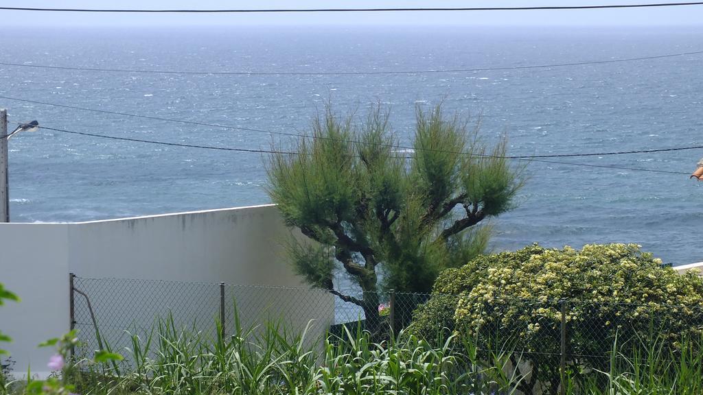 Santa Cruz Ocean Apartment - II Eksteriør billede